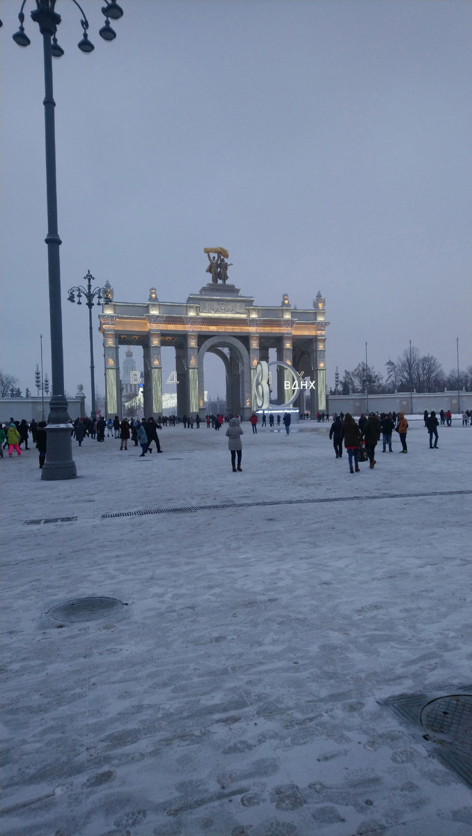 Москва, ВДНХ, январь 2019 года (фото из личного архива)