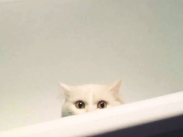 Эт не я там надудонил