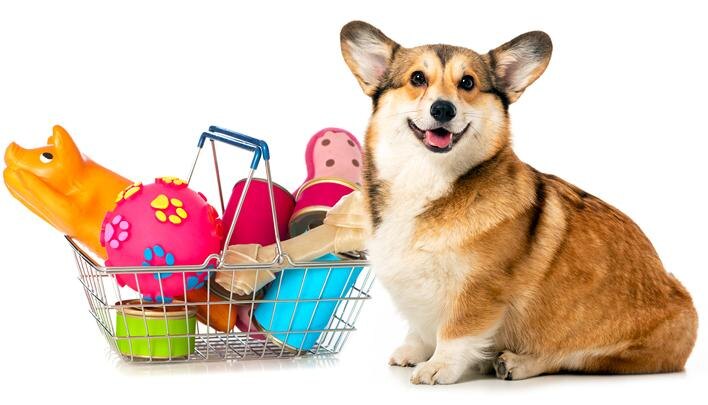 Вы любите пёсиков?