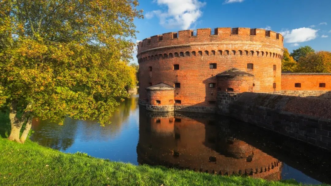 "Живопись наяву"