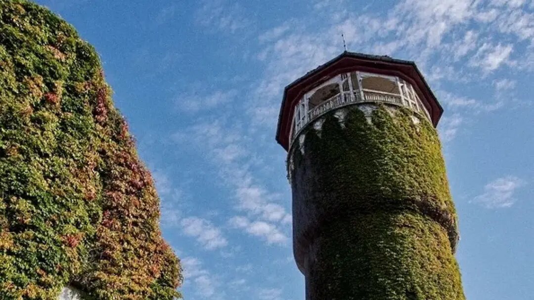 "Янтарный берег"