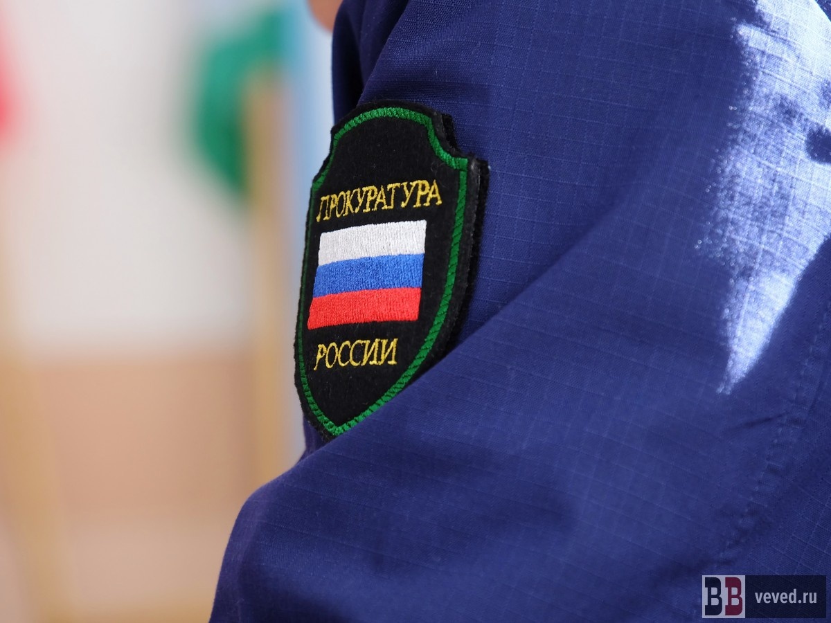     Фото: Владислав Постников / Вечерние ведомости