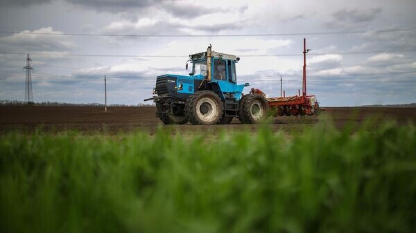    © Sputnik / Виталий Тимкив