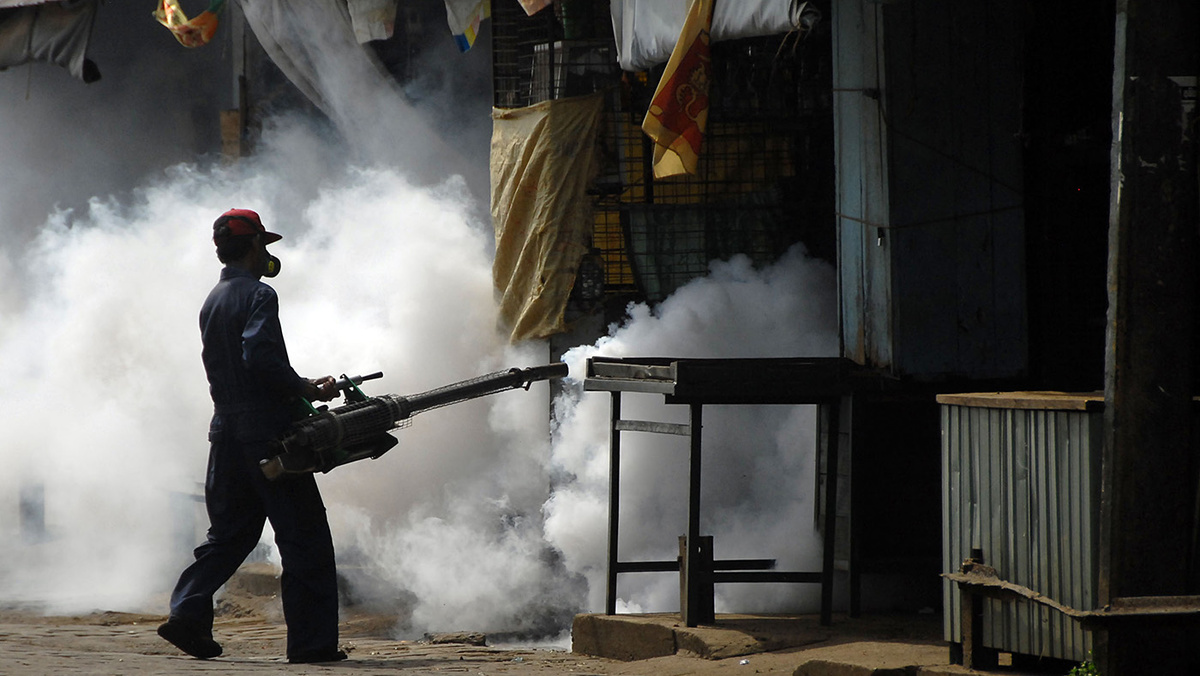   Sanka Gayashan / IPS Story / Getty Images- Архивное фото