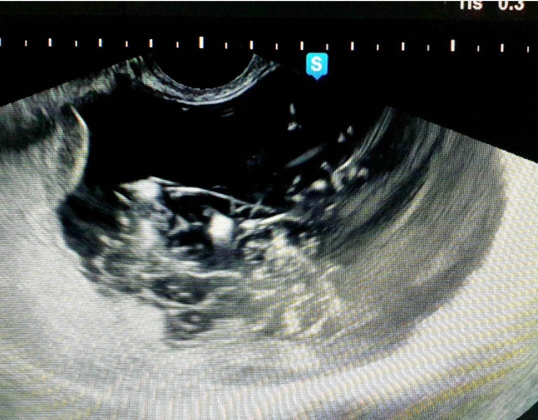 Фото из личного архива. 