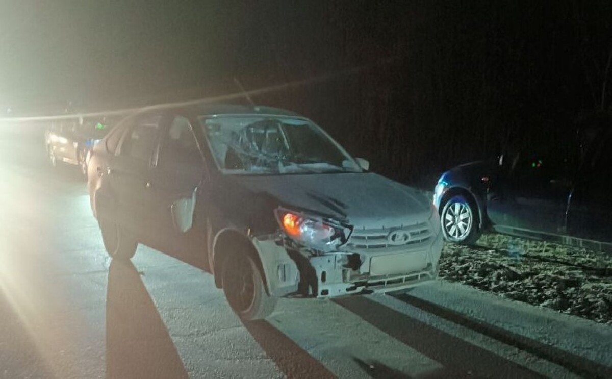    Фото: УМВД по Воронежской области