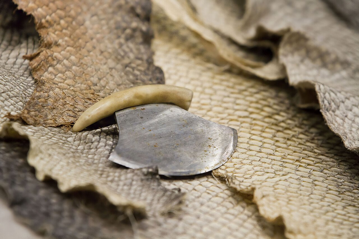 фото взяты из Интернета.