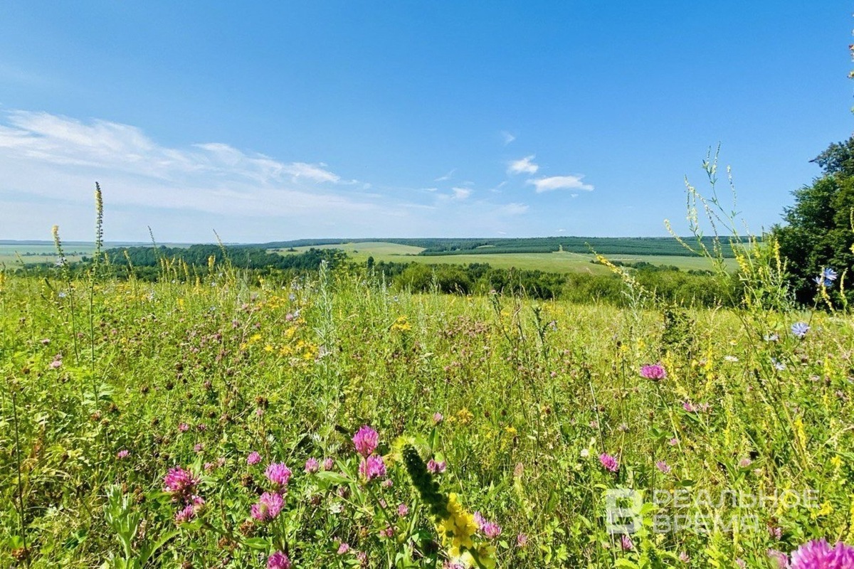   Реальное время / realnoevremya.ru