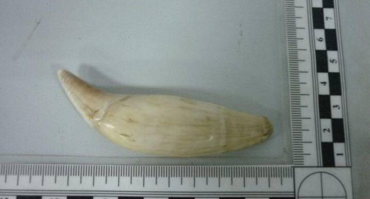    Пресс-служба ФТС России