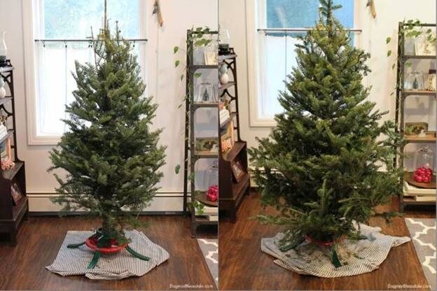 Источник изображения: https://www.hometalk.com/diy/decorate/christmas/christmas-tree-hacks-44691445