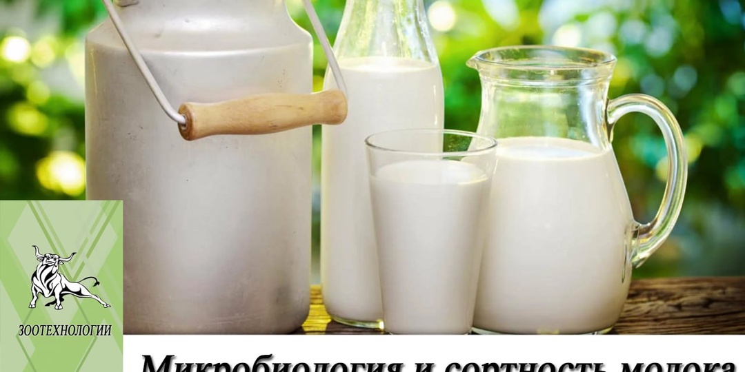 Микробиология и сортность молока