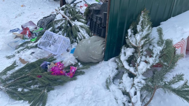 «Один раз в десять дней»: омский регоператор объяснил, почему зимой в городе стали реже вывозить мусор