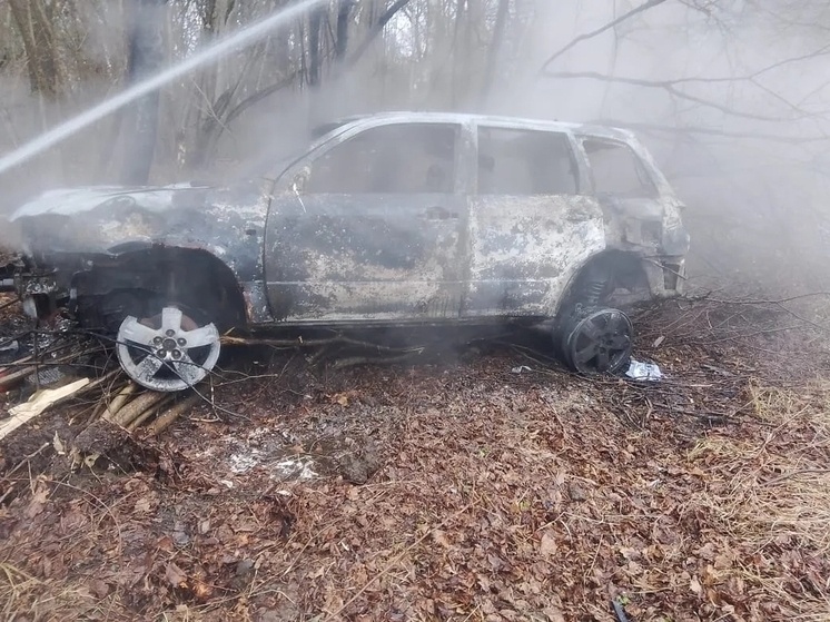     Фото: Противопожарная служба Курской области