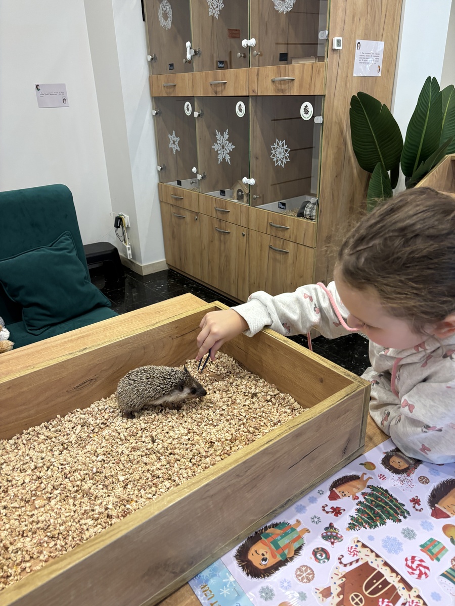 Настя держит пинцентом угощение для пуговки