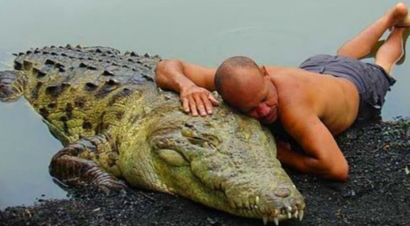 440-килограммовый хищник каждый вечер засыпал со своим человеческим другом, пока не случилась беда