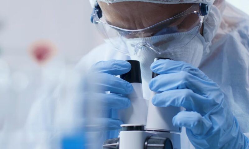    Фото freepik.com