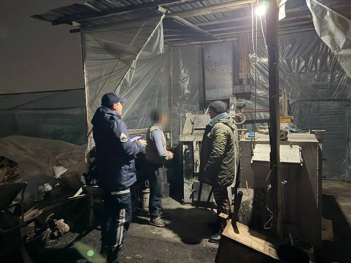 Национальный комитет по экологии и изменению климата