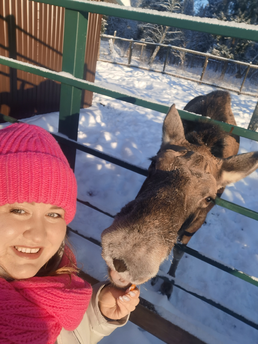 Позитивные фото прошлых лет. Кострома, 2023