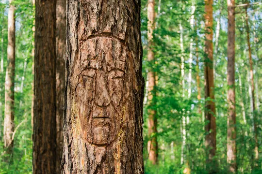 фото взято из Интернета.