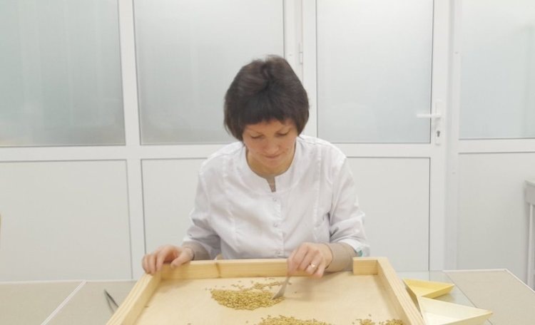    Фото: Филиал Россельхозцентра по Липецкой области