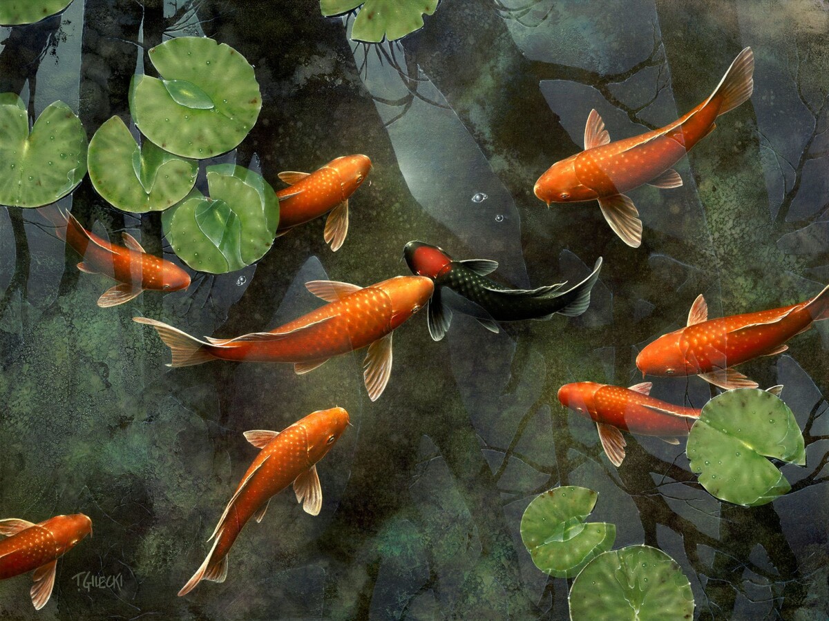 Японские караси Яндекса ))