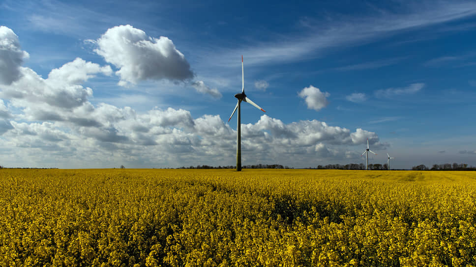 Фото: Александр Подгорчук / Коммерсантъ