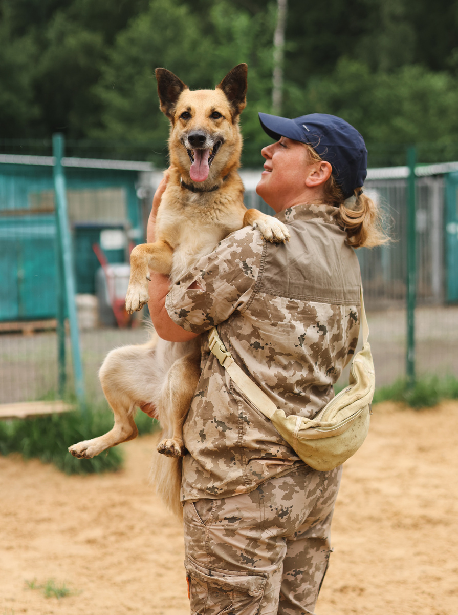 Я когда была домашняя, в зеркало смотрелась. Вроде оттуда уши растут