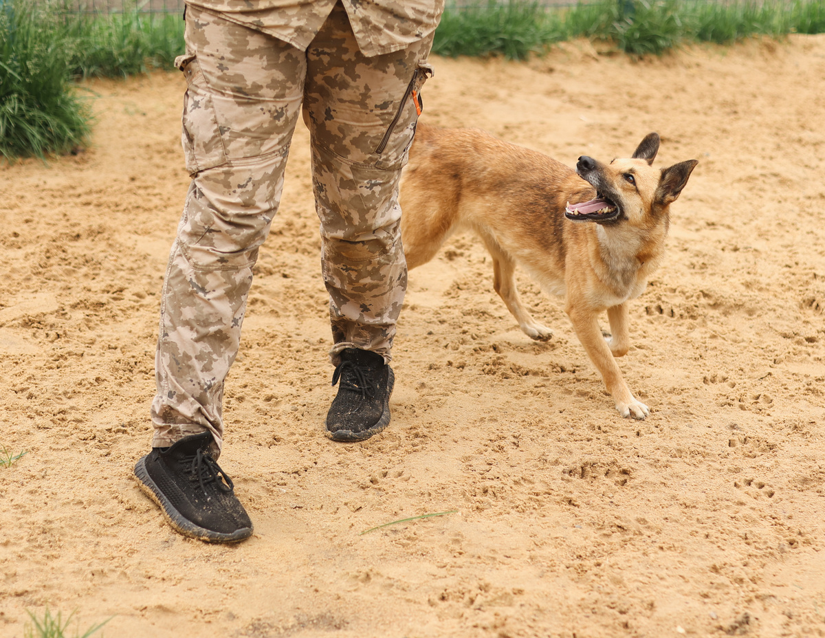 Снимите скорее с меня эту дурацкую шляпу-невидимку