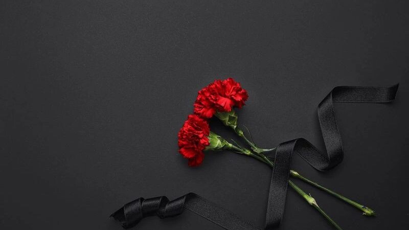    Фото: Pixel-Shot/Shutterstock/Fotodom