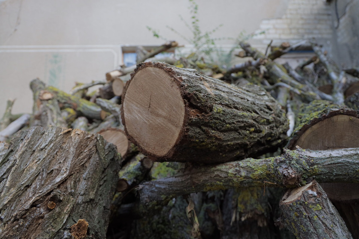    Фото: ТРК «Таврия»