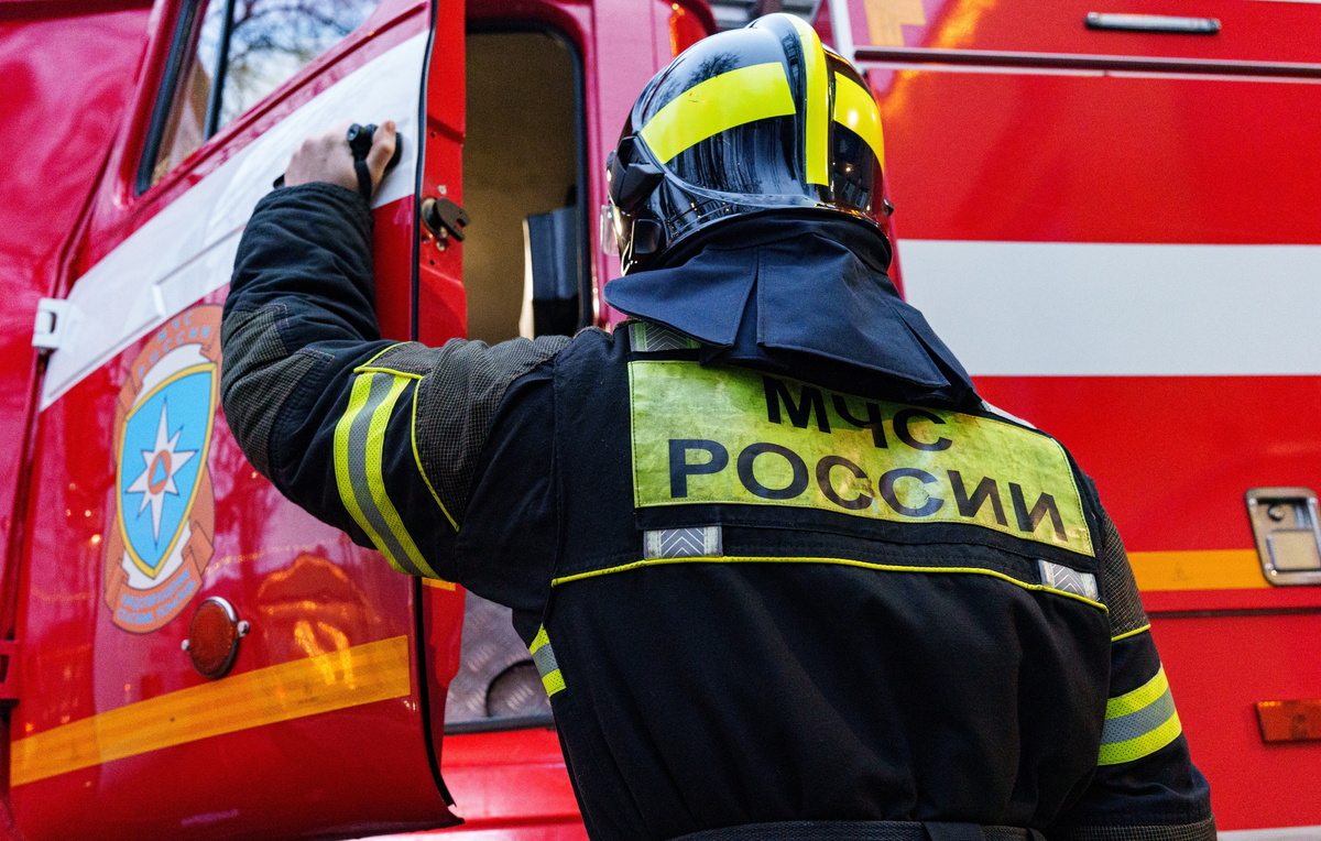 Олеся Чепурченко/ТАСС, архив