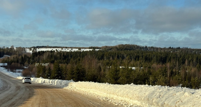В Коми за год восстановили лесов больше, чем потеряли