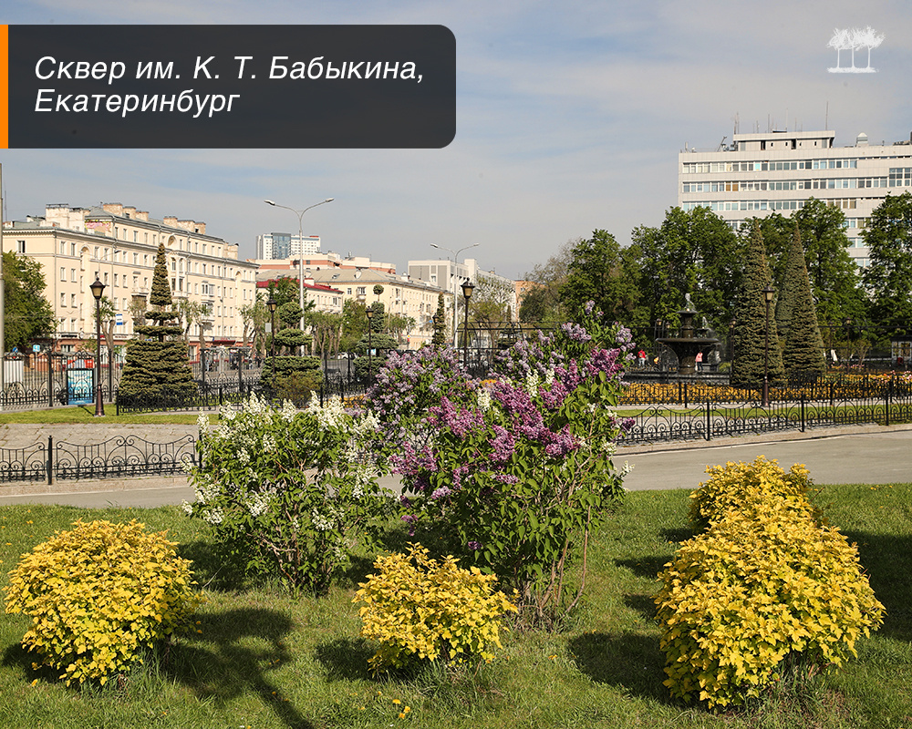 Сквер имени архитектора Константина Бабыкина