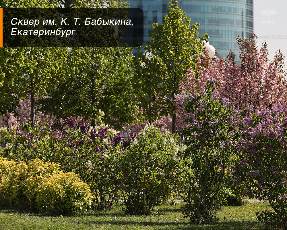 Сквер имени архитектора Константина Бабыкина