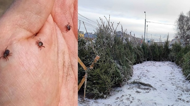 Источник: Уфа уличный репортер