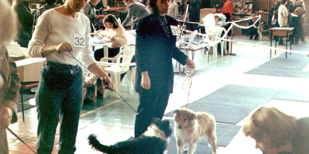 Почему я перестала ходить на выставки