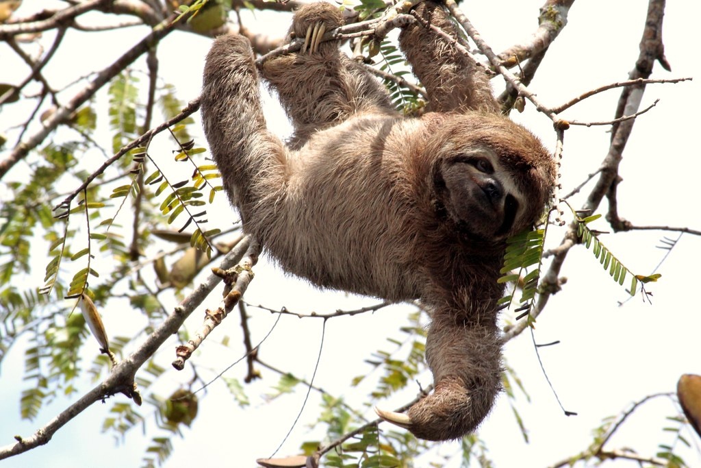 Фотография из интернета