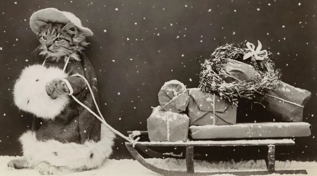 Фото: The New York Public Library