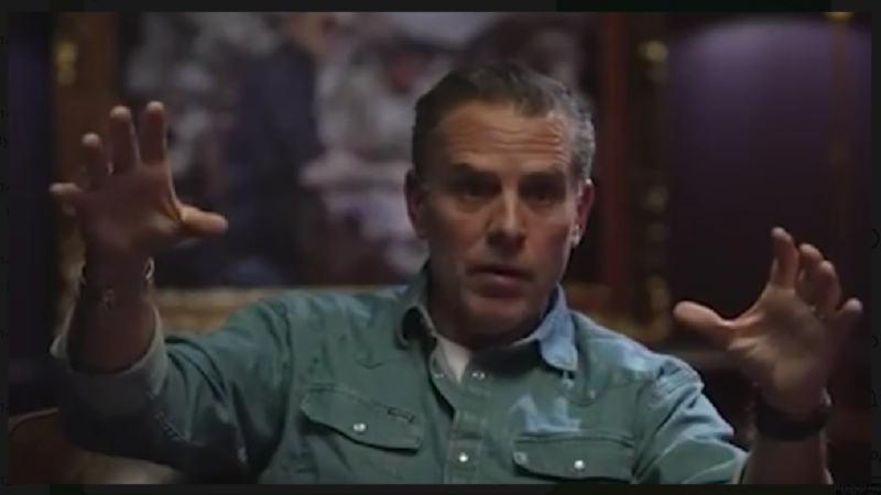    Байден-младший во время интервью. Скриншот: Телеграм-канал "Бочарик (ага, тот самый)"