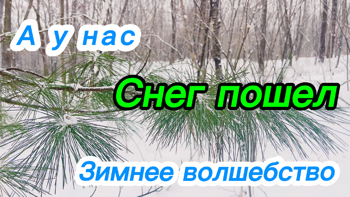 Ура! Фото автора