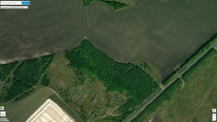    Фото: Россельхознадзор по Курской и Орловской областям