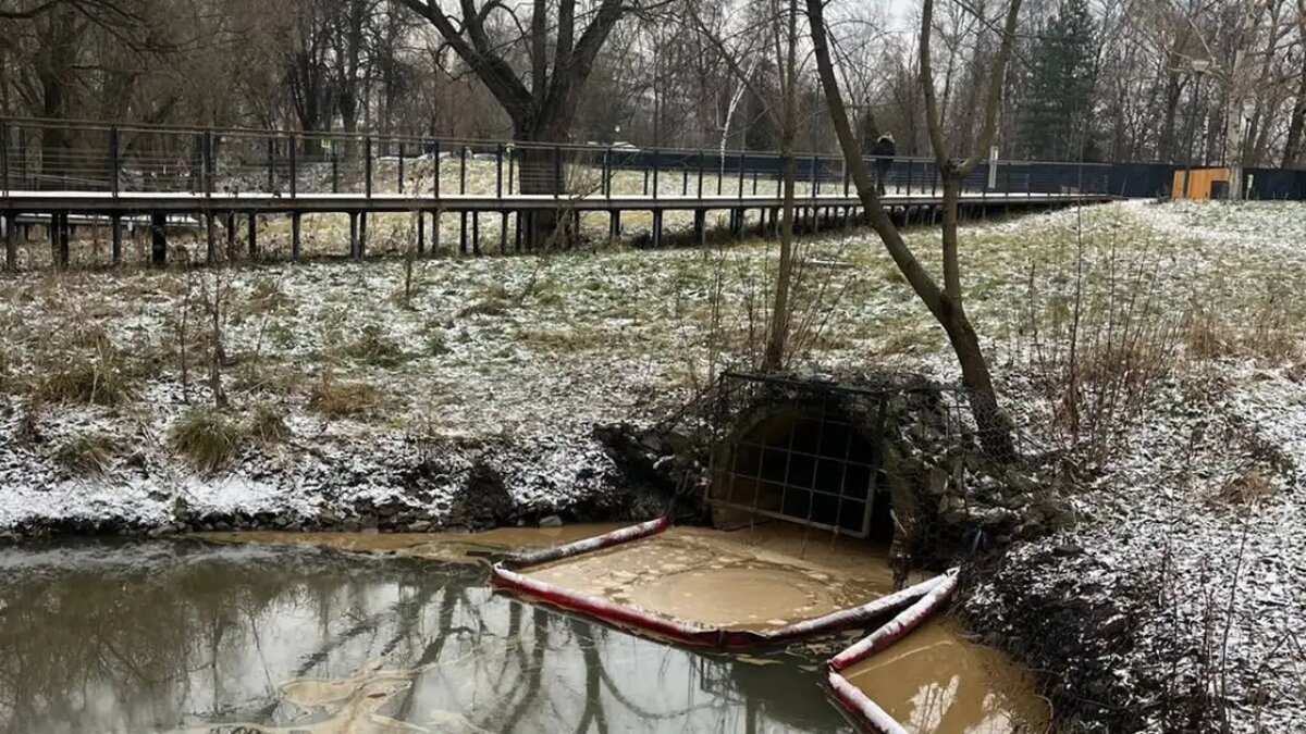    Река Яуза. © Прокуратура Москвы