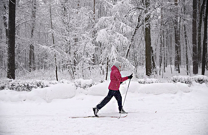    Александр Авилов/АГН «Москва»