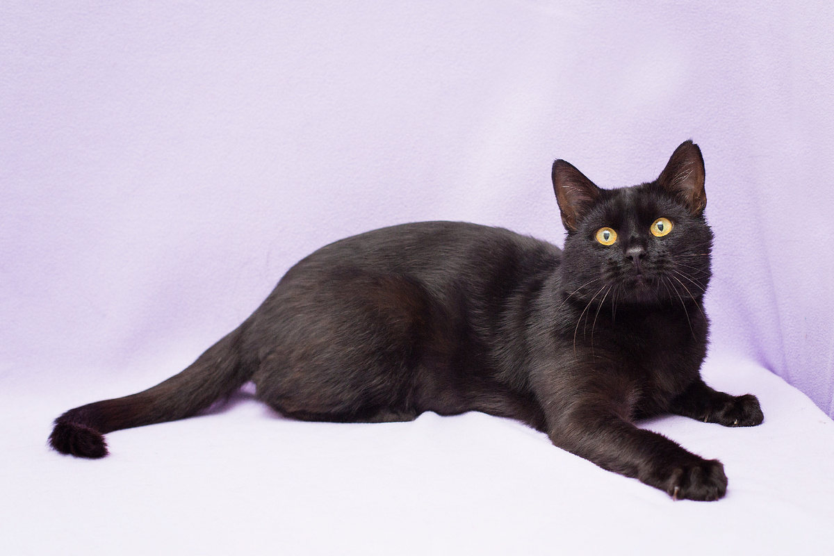 А чудеса уже в пути?