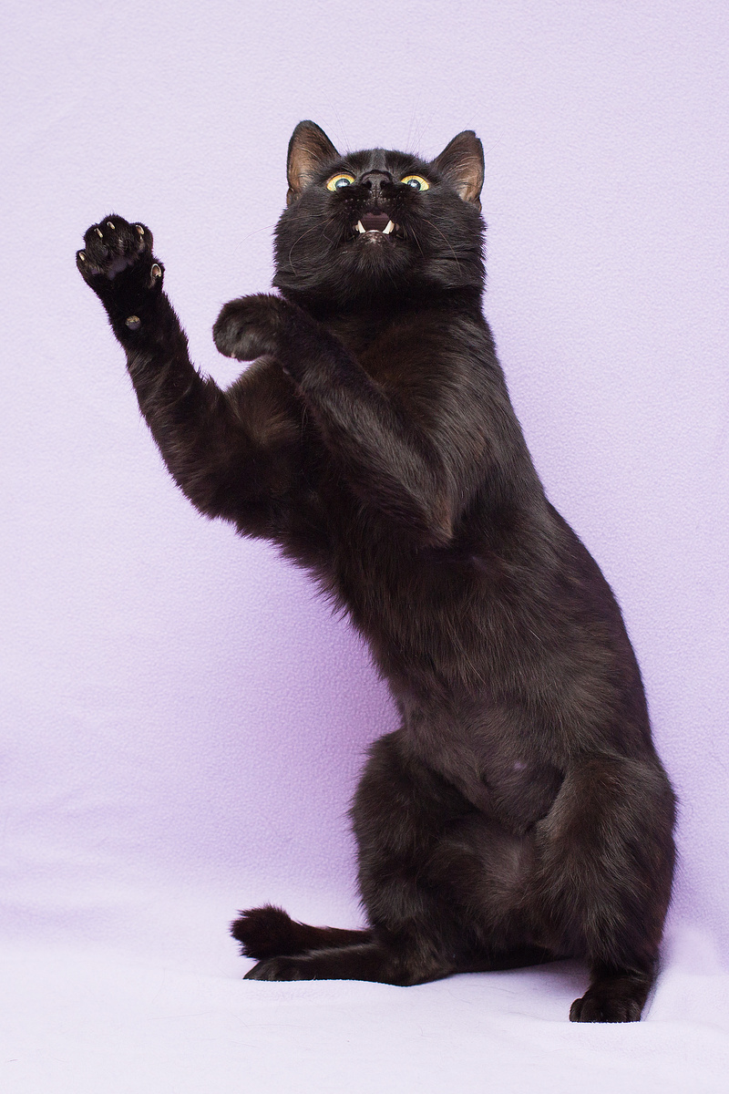 Хорошо, что я нашёлся