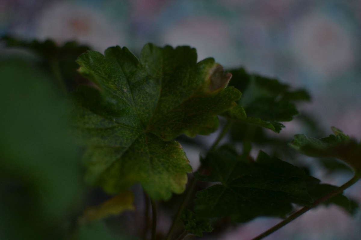 Три ужасающих фотографии. Листайте, если не страшно