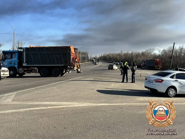    Фото ТГ-канала Госавтоинспекции РО Татьяна Пшеничная