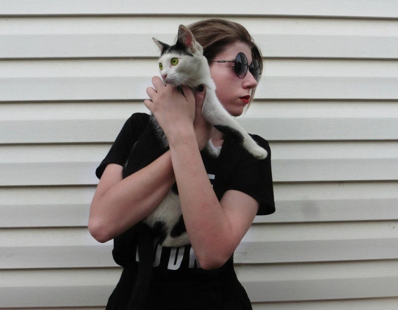    Таким котенок Пуля попал в семью Шананиных admin