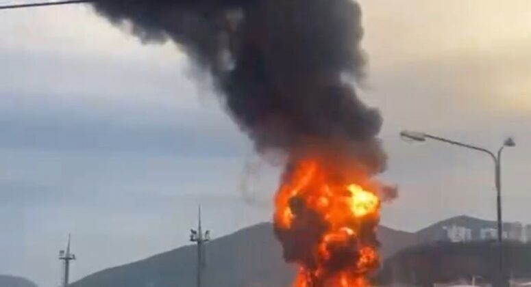    Фото: соцсети