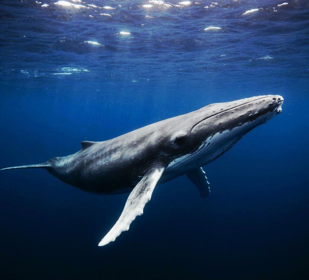 Жизнь после смерти существует